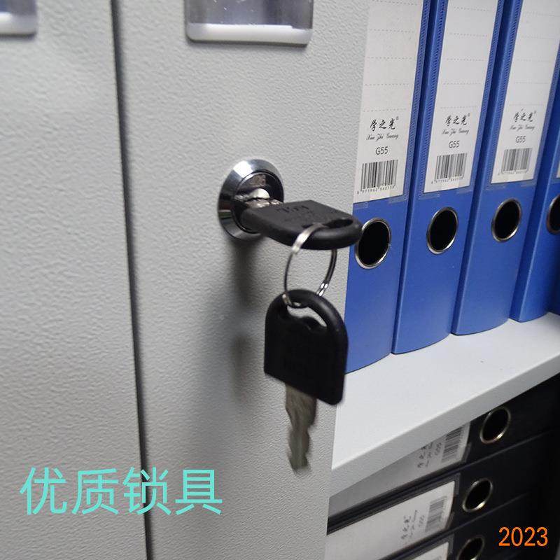 铁皮办柜文件柜柜公室档文件柜案柜落地钢工具柜资料柜凭证财务子