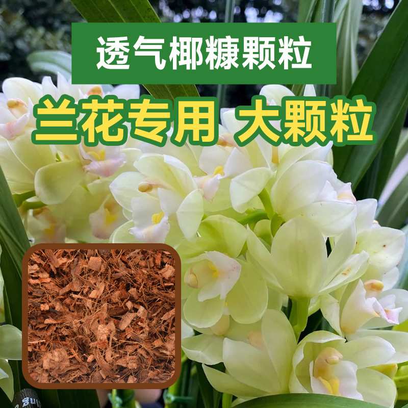 进口斯里兰卡椰糠椰壳砖粗椰块养花种菜土粗椰壳大块通用椰砖