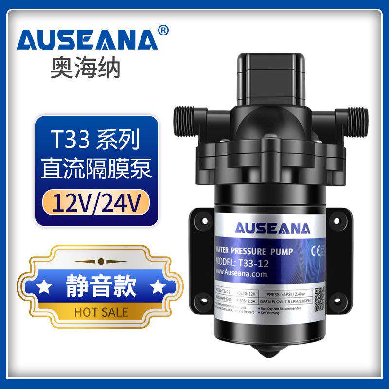 T337.6升房车水泵系统12v24v游艇快艇专用加水泵直流自吸隔膜泵