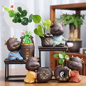 创意紫砂卡通牛小花盆器陶瓷家居可爱绿萝水培养花瓶桌面摆件 包邮