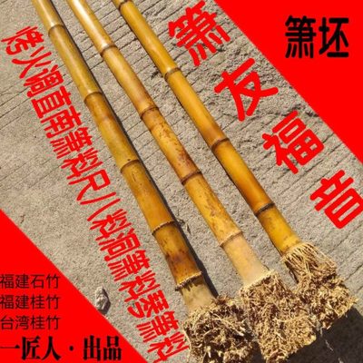 福建桂竹石竹烤火调直校直南箫料尺八料洞箫料琴箫料台湾桂竹箫料