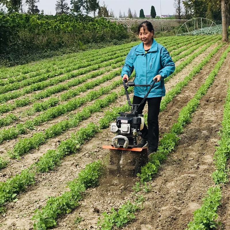 宗申新款29公斤多功能全齿轮小型耕耘机除草K松土开沟果园农具锄