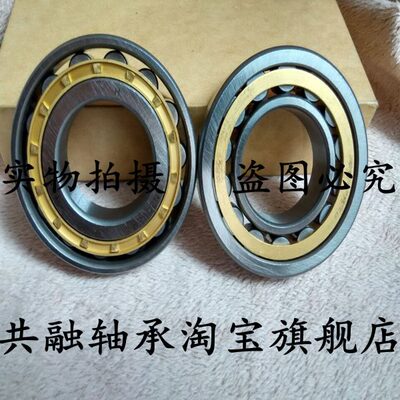 短圆柱滚子轴承N NJ NU NUP RN411 412 412 414 415 416 417EM