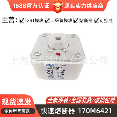 170M6421589全新现货