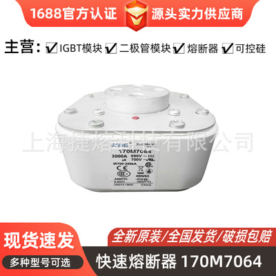 全新170M64983低压熔断