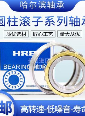 哈尔滨轴承N/NJ/NU/304 305 306 307 308 309 310 311 312 /EM