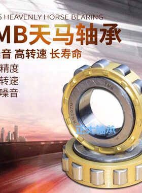 TMB天马轴承RN222M 502222H圆柱滚子偏心轴承尺寸110*178.5*38mm