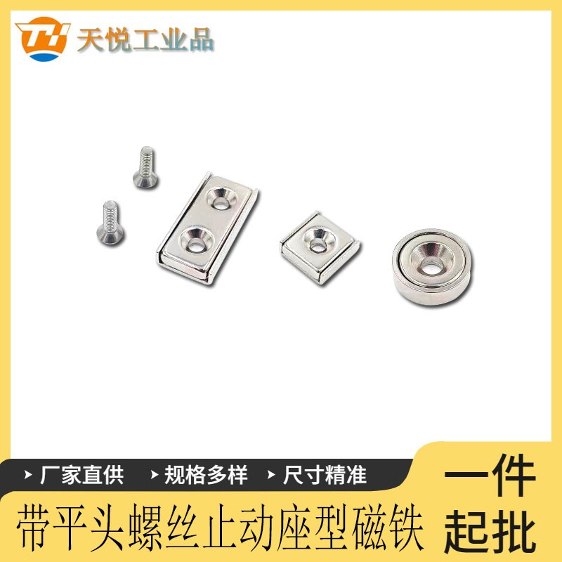 HXCC/HXCR/HXCS/HXCCH8/10/12/15/20/25带座磁铁 平头.螺栓止动型