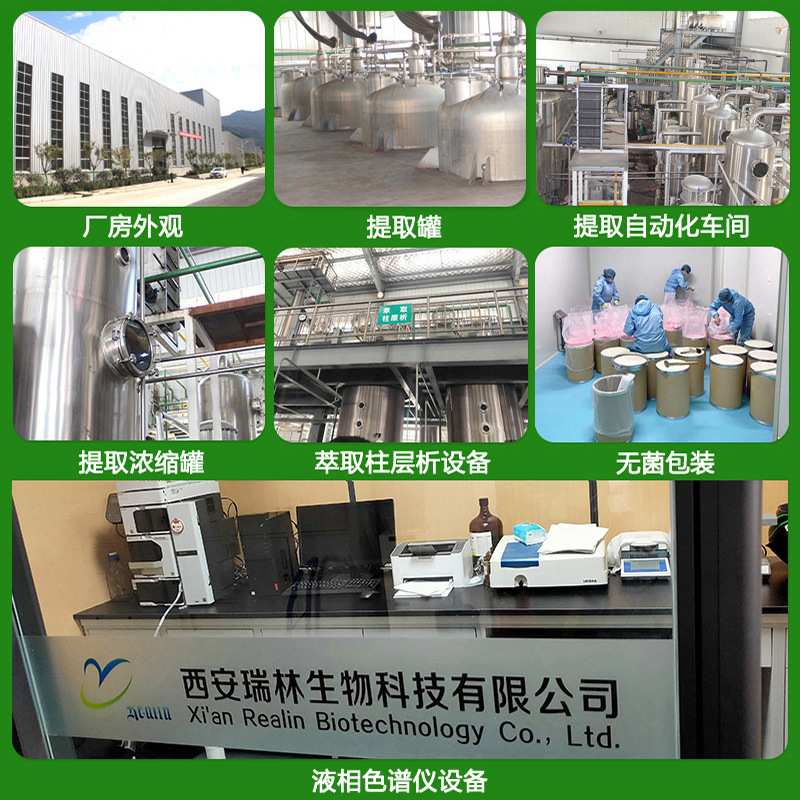 大蒜提取物 大蒜粉 资质全1kg装 现货供应 量大从优
