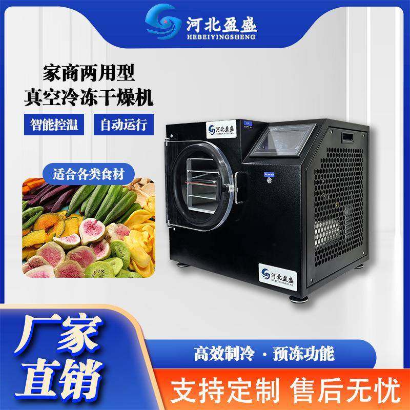 盈盛小型智能家用真空冷冻干燥机药材宠物蔬菜水果商用科研冻干机
