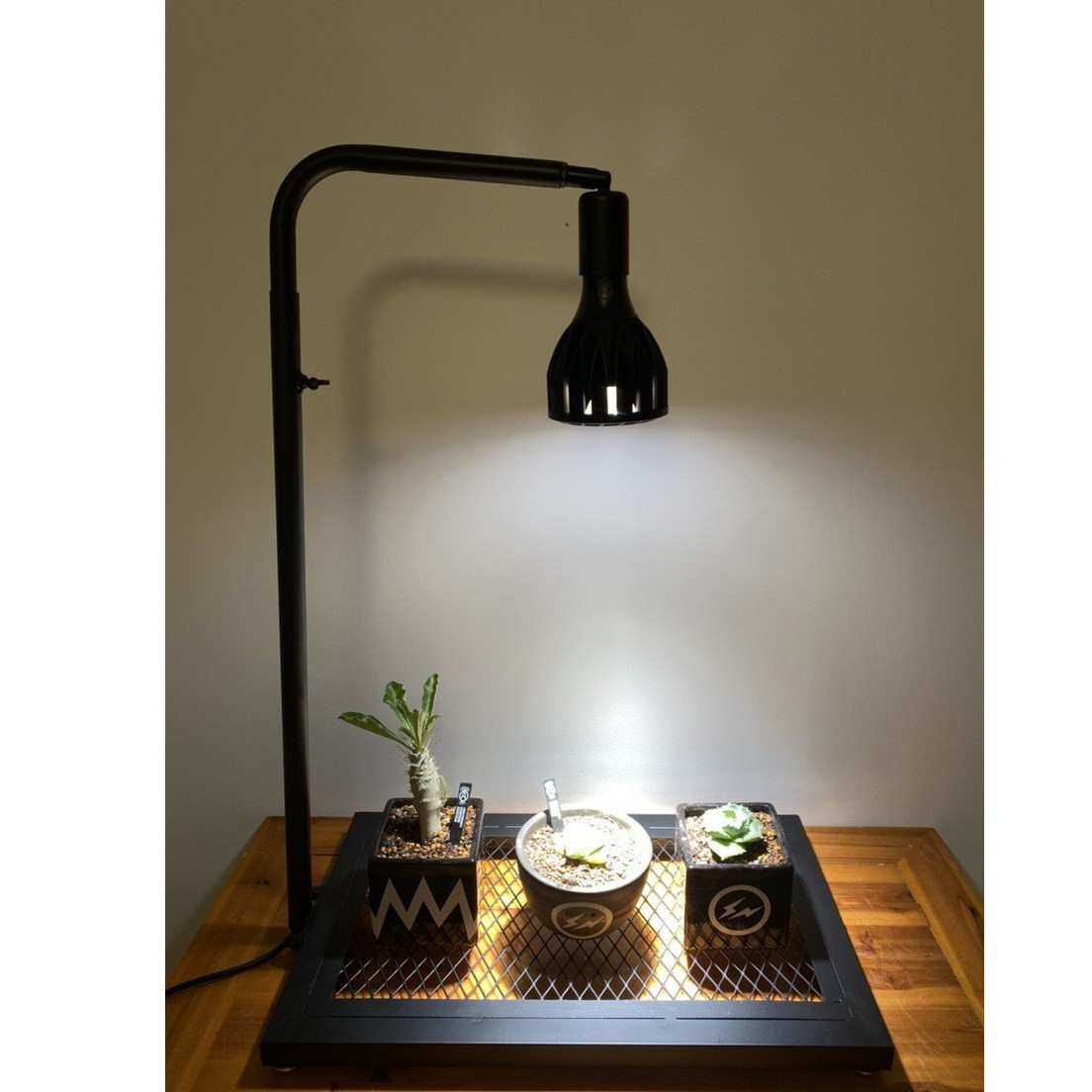 日式块根植物龟甲龙爬藤支架室内盆栽植物攀爬架绿植花架不含灯