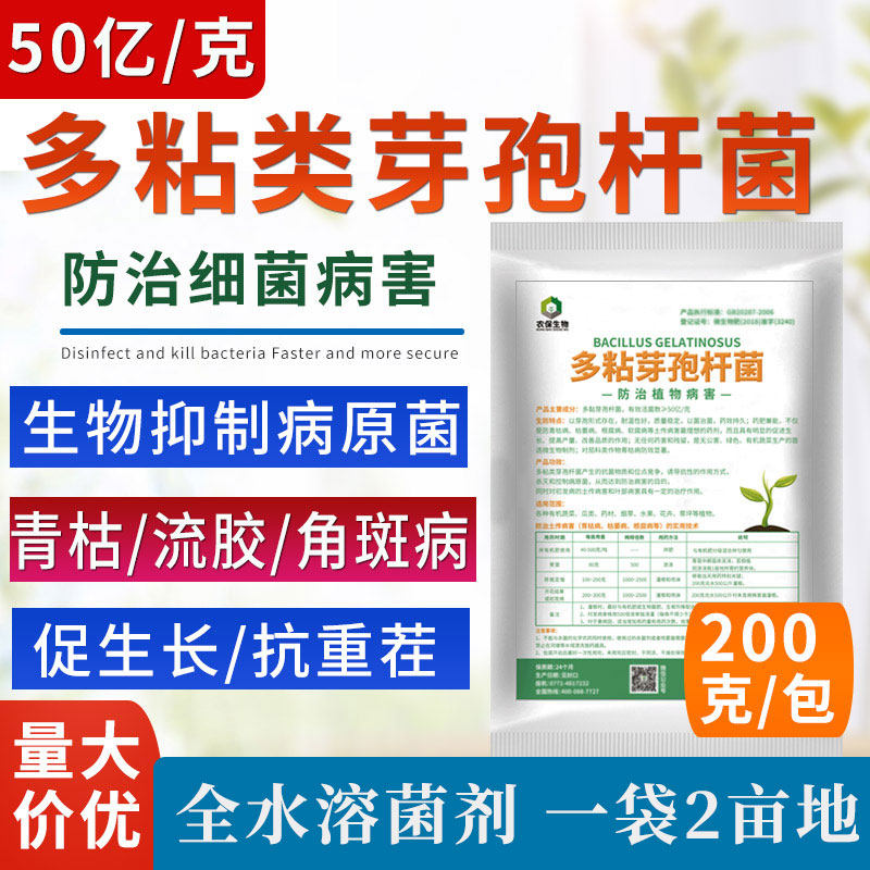 农保50亿/克多粘类芽孢杆菌微生物菌根腐青枯软腐角斑叶斑病姜瘟