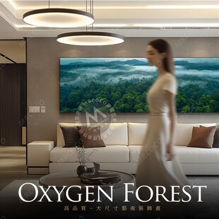 客厅长横幅装饰画大气风景画沙发背景墙挂画现代轻奢北欧墙画壁画