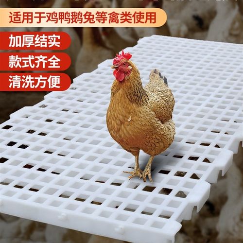 鸡用漏粪板鸡鸭鹅鸽子家禽加厚塑料漏屎板鸡舍鸡笼隔粪板网格地板