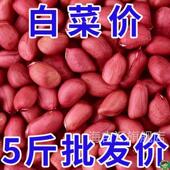 今年新货四粒红花生米红皮花生米小颗粒补血无壳红衣花生米