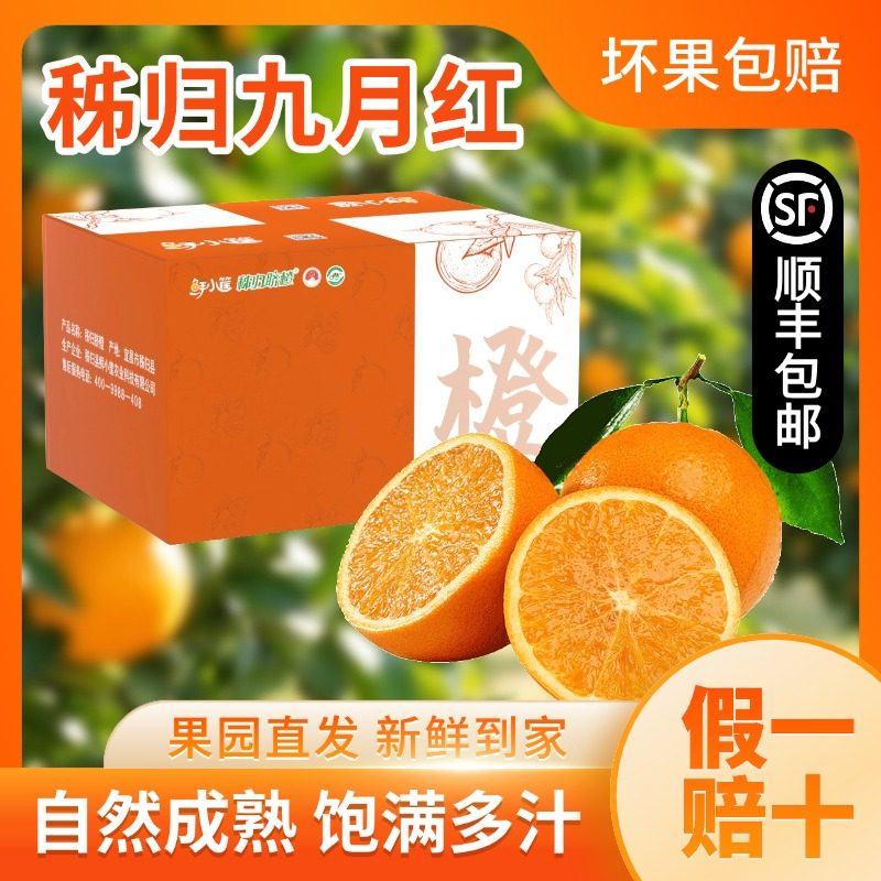 秭归脐橙应季水果九月红果冻橙子彩箱装现摘现发顺丰包邮送礼送节,水产肉类/新鲜蔬果/熟食,橙,淘宝优惠券,粉丝福利购,淘宝优惠卷