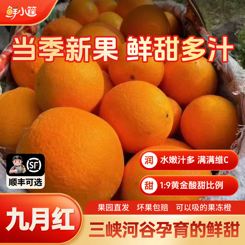三峡脐橙秭归橙子九月红现摘大果新鲜当季水果手剥果冻橙顺丰包邮,水产肉类/新鲜蔬果/熟食,橙,淘宝优惠券,粉丝福利购,淘宝优惠卷