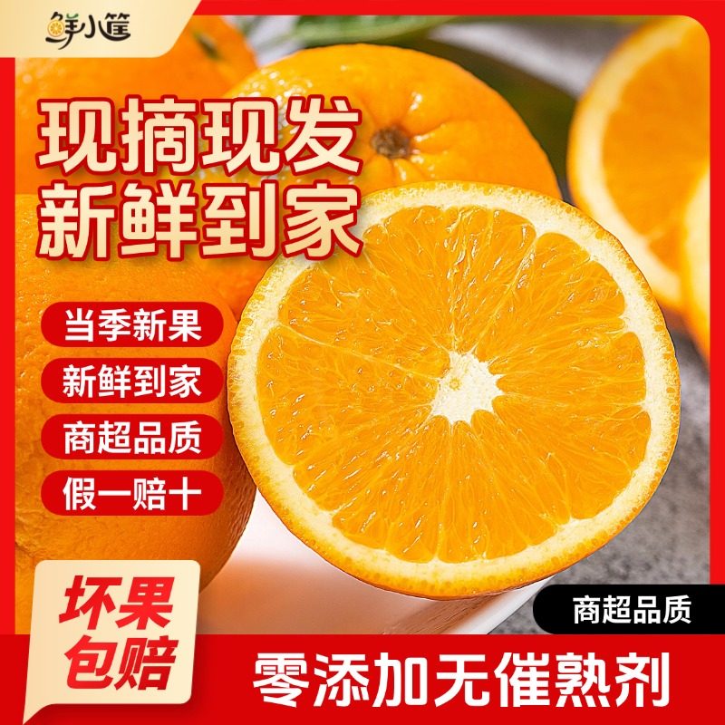 秭归脐橙九月红正宗整箱果园直发