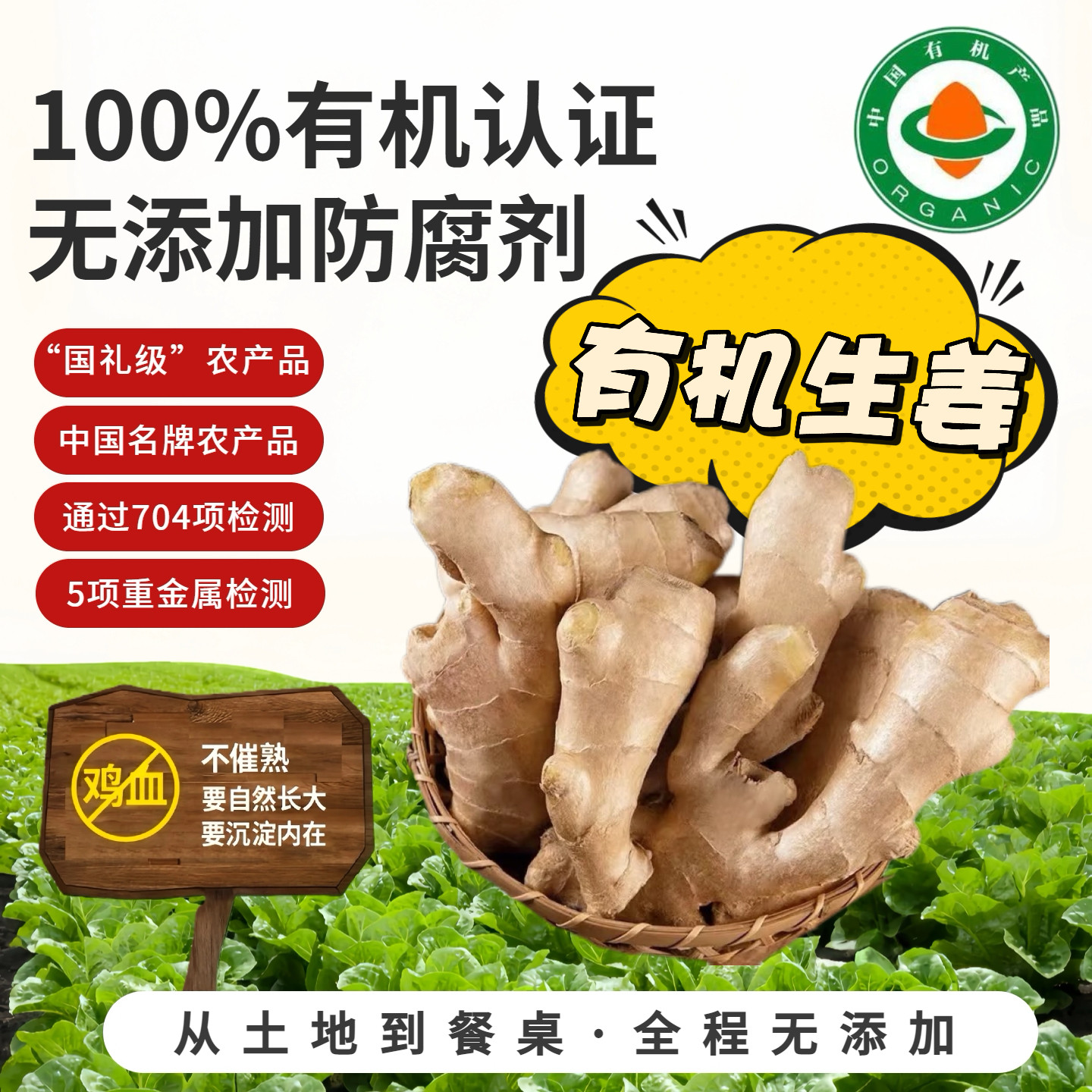 有机生姜 有机认证无农残 有机种植食用农产品 山东大姜生态种植