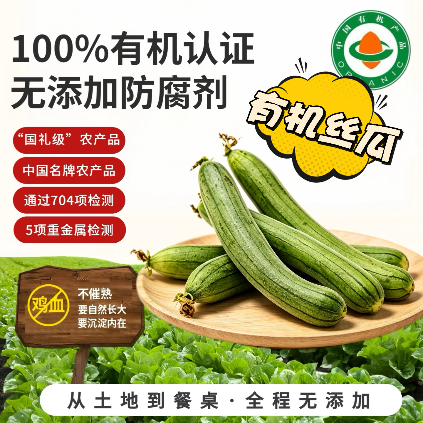 有机丝瓜 有机认证无农残无添加 新鲜采摘宝宝孕妇京东送货上门