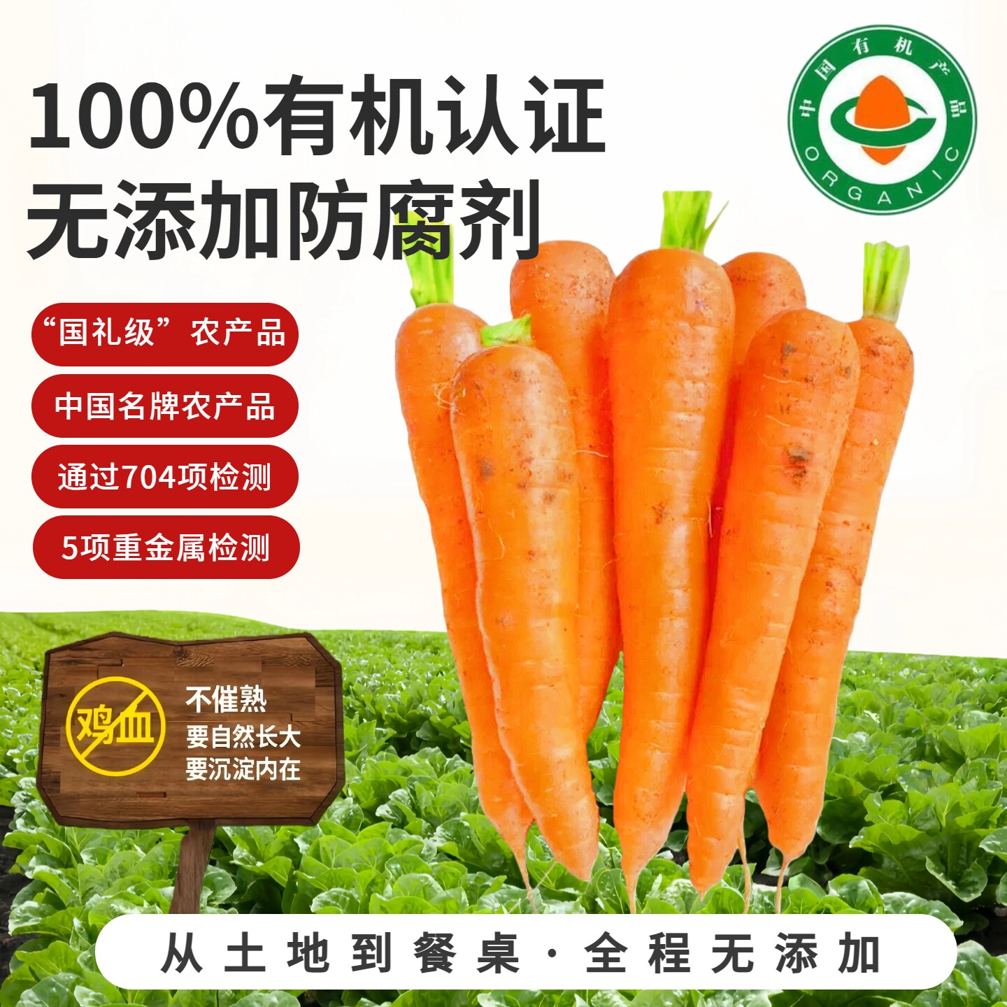 有机认证水果胡萝卜无农残