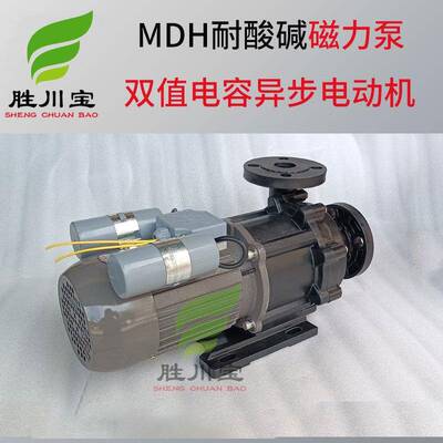 胜川磁泵力泵MPH(MD宝H)-52单相220V循环磁力塑YTP料5化工泵