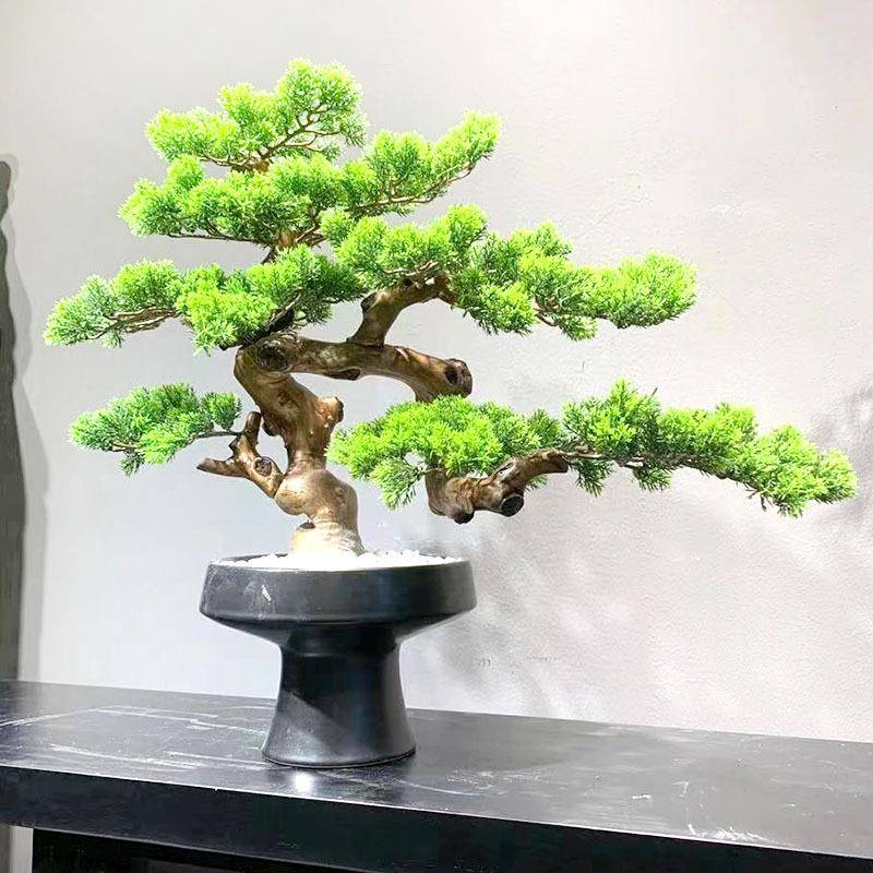 真植装饰盆栽造型茶仿生迎客松室内盆-景室园艺仿观景植物摆绿件