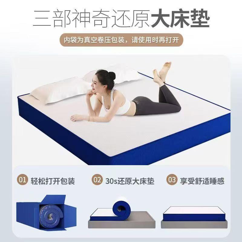 颐蓝记219忆棉盒子乳胶真舍空卷包压缩榻榻米弹床垫席簧色梦思垫