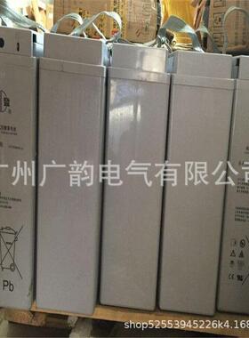 双登通信电池6-FMX-100B狭长形12v100ah蓄电池基站应急电源