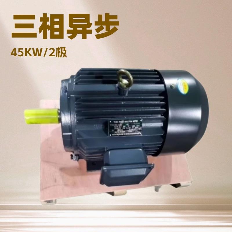 YE2YE3YE4Y2Y三相电机三相电动机异步电机0.55W-6极