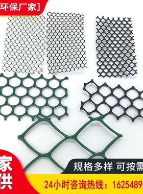 厂家供应塑土工网 边坡防护园林绿化料土工网 CE131 114115塑料网
