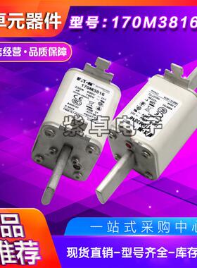 170M3816170M3817170M3818170M3819伊顿巴斯曼熔断器