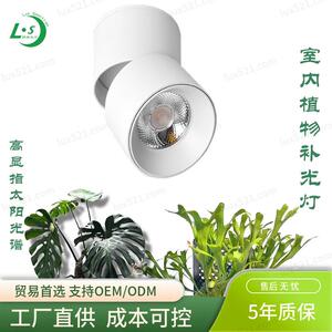 仿太阳光全光谱植物生长灯植物墙块根蕨类多肉热带植物LED补光灯
