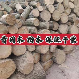 青冈木橡木树柴火果栎木枣木松木柴烤烧火干头户外篝火壁炉野炊㭎