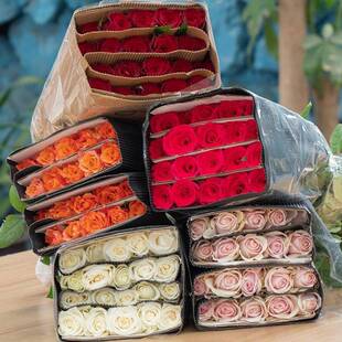 云南昆明鲜花基地直发红玫瑰花水养百合花束鲜切花向日葵花材