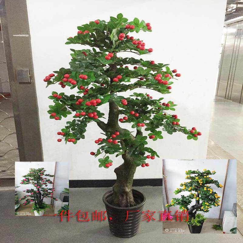 凯瑞假树茶花果树植物大型落地盆栽塑料假花客厅室内绿植