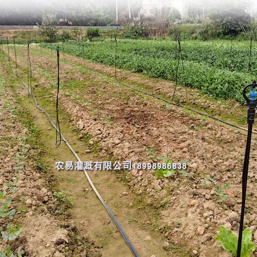 农用灌溉喷头地插杆支架pe管自动喷淋系统喷水软管旋转微喷喷灌