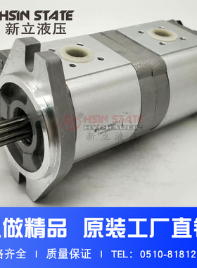 液压泵WP09A2电动高压泵0864273双联齿轮泵