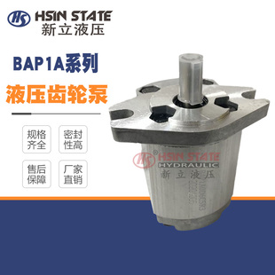 D5.2 D2.8 D6.2 D7.6 D13.8C5R3齿轮泵 BAP1A0D2.1C5R3 D9.3 D1.4