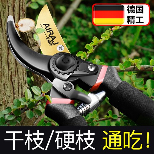 德国款修枝剪园艺剪刀剪树枝专用剪刀园林修剪果树修枝花艺修花剪
