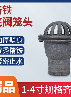 自吸水泵底阀止回阀配件1.5寸2 3寸进水管过滤网花篮头铸铁莲蓬头