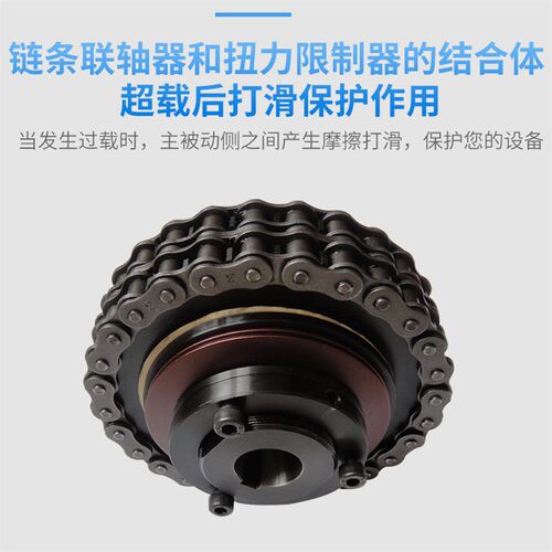 TL10-24/10-16/14-10/14-15/20大扭力摩擦式扭力限制器扭矩定做