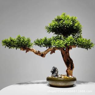 仿真植物盆栽罗汉松迎客松客厅办公室落地绿植新中式装饰品盆景