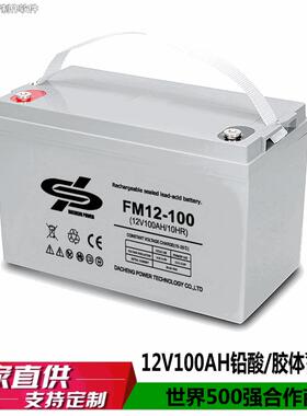 大成DP12V100AH铅酸蓄电池胶体太阳能蓄电池耐低温深放电