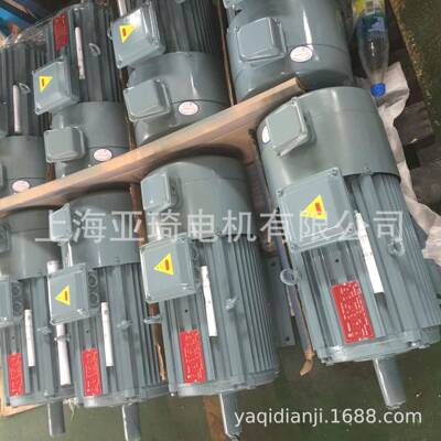 IFGEJ-50-0.25-2刹车电机Motor