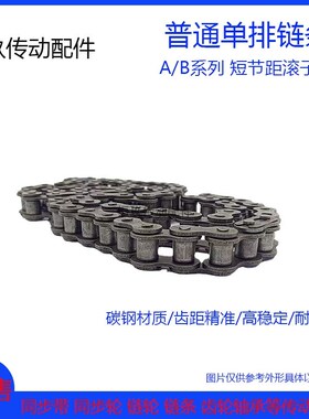 工业传动链条单排04C 25H 05B 2/3分06BC 4分08B/A 5分10A 6分12A