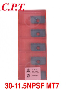 德国CARMEX卡迈斯CPT 30-11.5NPSF MT7