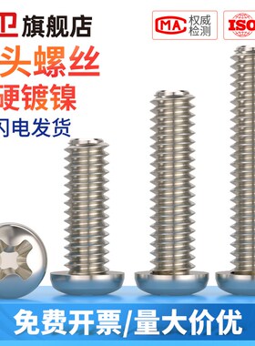 镀镍PM十字圆头螺丝盘头铁螺钉电子小螺丝钉M1M2M3M4M5M6*5x6x30