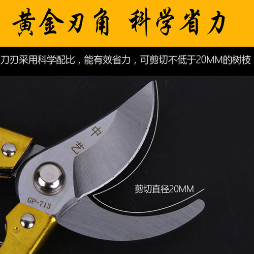 剪枝剪刀园艺剪树枝修枝剪花剪园林省力花艺工具果树修剪粗枝剪子