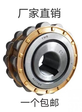 带偏心套 偏心轴承RN205 RN206 RN307 309 312 219 222 228减速机